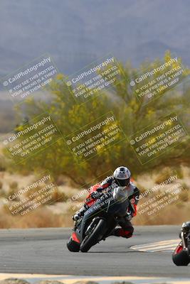 media/Apr-10-2022-SoCal Trackdays (Sun) [[f104b12566]]/Turn 5 Tree of Life (1040am)/